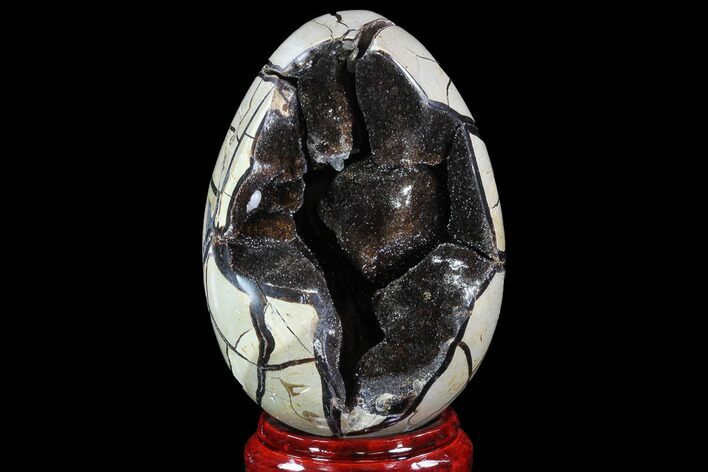 Septarian Dragon Egg Geode - Black Crystals #88307